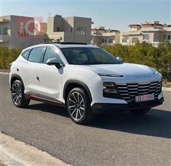 جيتور داشينج